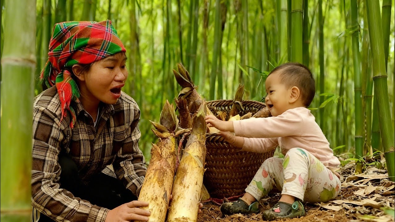 A 17-year-old single mother & her baby Thu harvest bamboo shoots in the forest.Life in the mountains