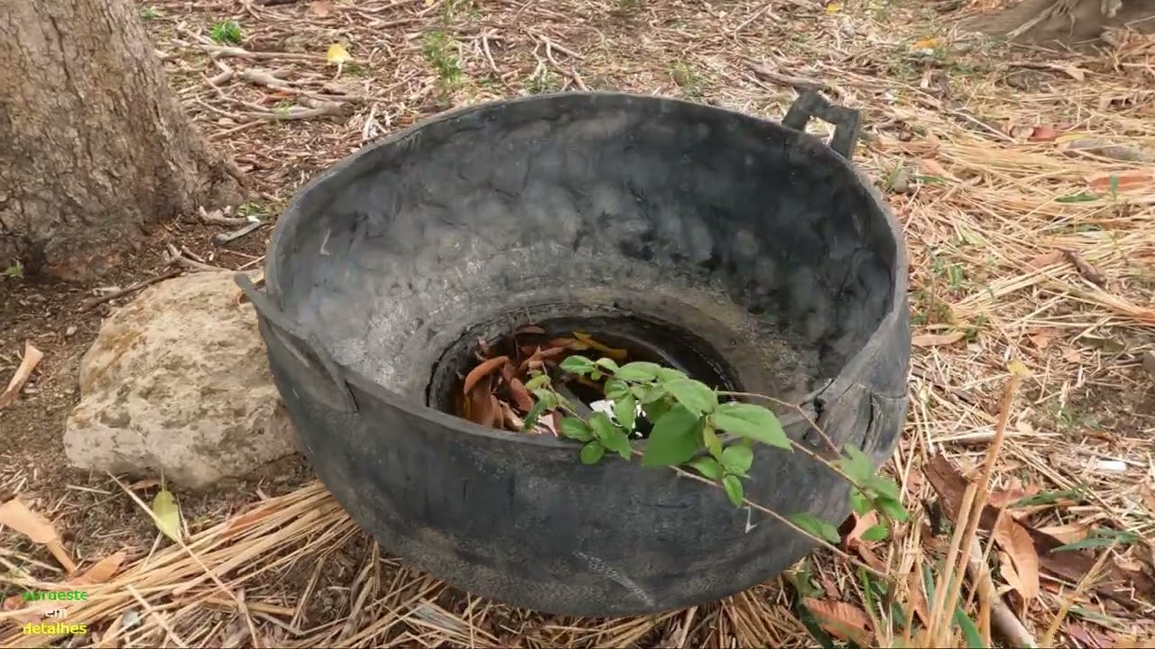 CACIMBÃO