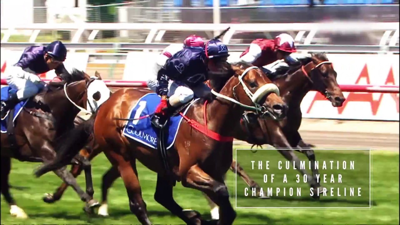 ZOUSTAR - A Champion legacy continues...