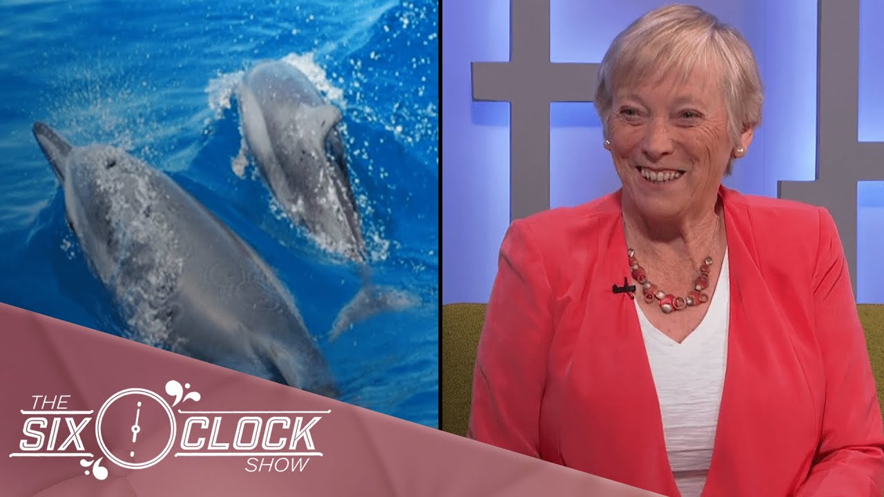 Éanna Ní Lamhna explains the latest scientific discovery made about dolphins | The Six O'Clock Show