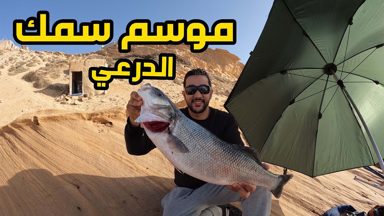 موسم سمك الدرعي ( بوشوك ) 🔥 ZZzzzZz