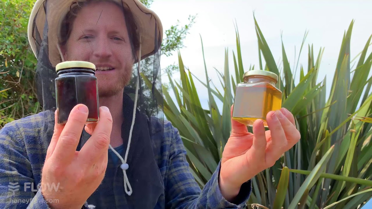 How to harvest - tips and tricks 🍯🐝