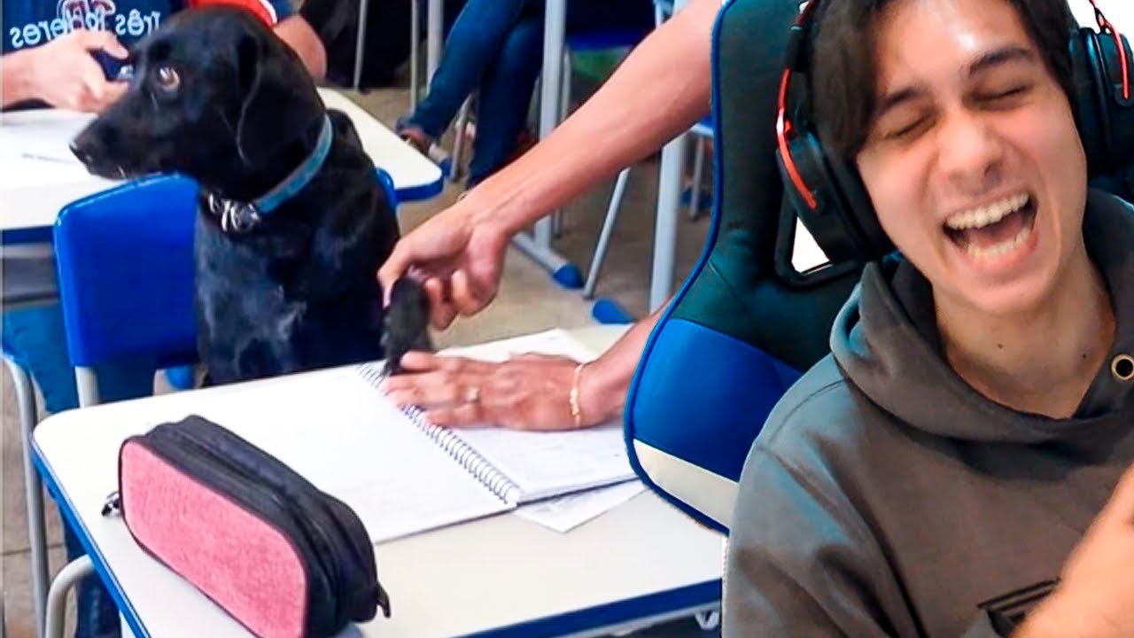 LENDO RELATOS DE ESCOLA DOS INSCRITOS E É SÓ ABSURDO