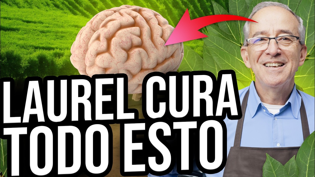 🌿 BENEFICIOS DE CONSUMIR LAUREL - Oswaldo Restrepo RSC