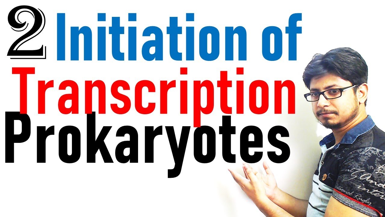 Transcription initiation in prokaryotes | prokaryotic transcription lecture 2