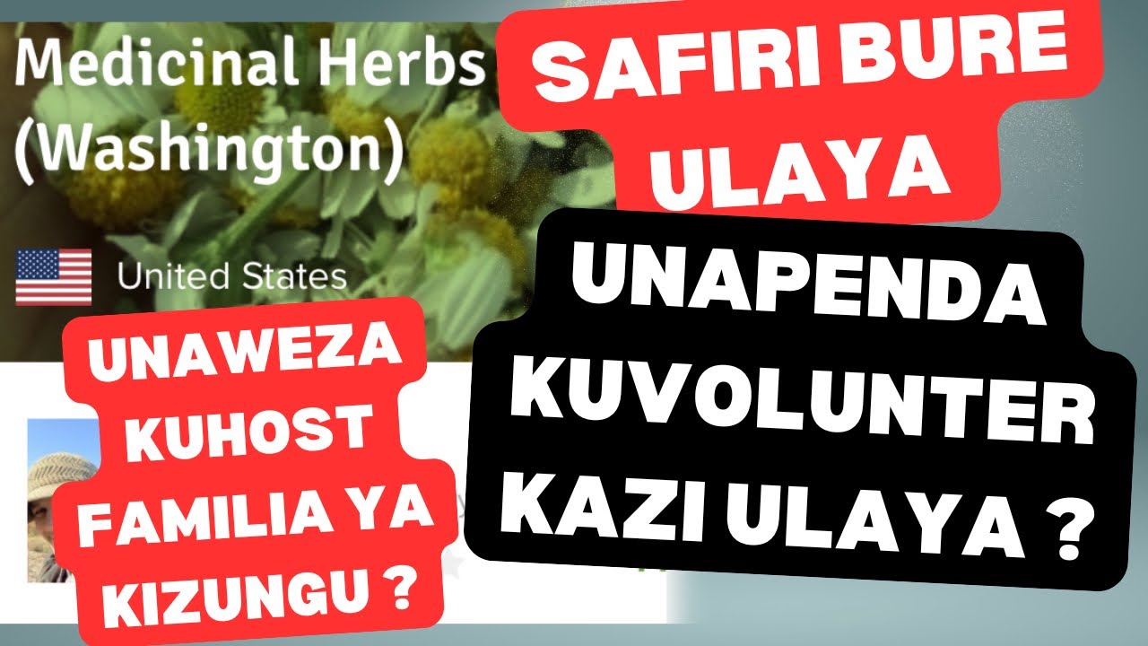 Program Hii inakusaidia kusafiri Ulaya bure