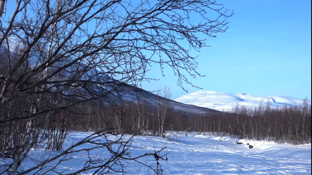 Abisko GuestHouse Vinter ´15