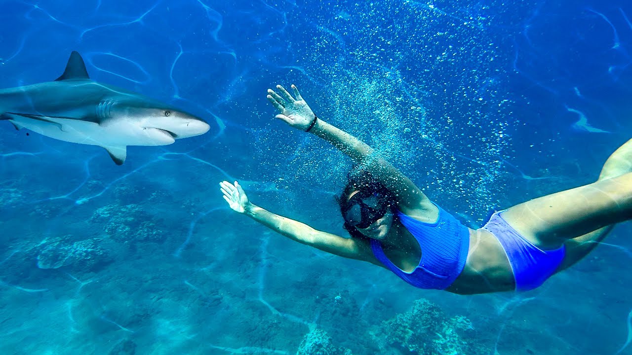 SWiMMiNG WiTH SHARKS!! LiLEE'S BiRTHDAY WISH *GONE WRONG?*🦈😱