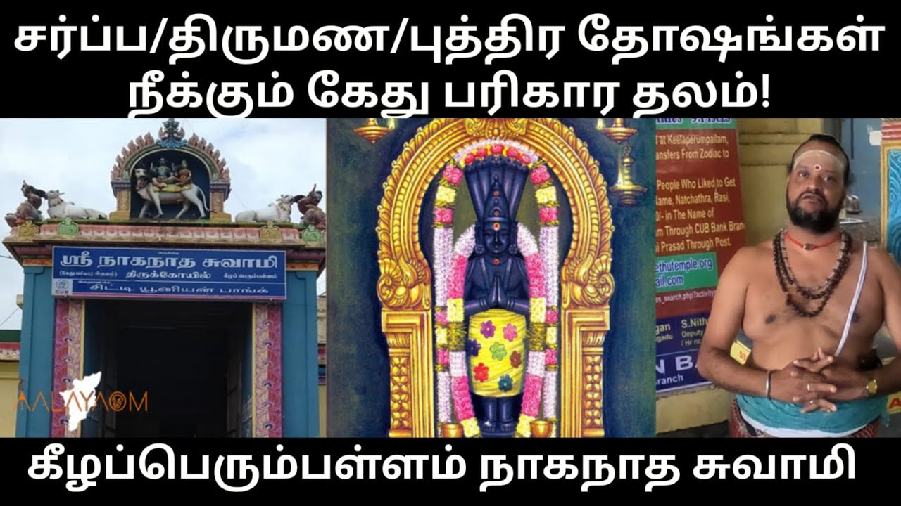 கேது பரிகார தலம்| கீழப்பெரும்பள்ளம் நாகநாத சுவாமி கோயில்|  Keezhaperumpallam Kethu Parigara Temple|