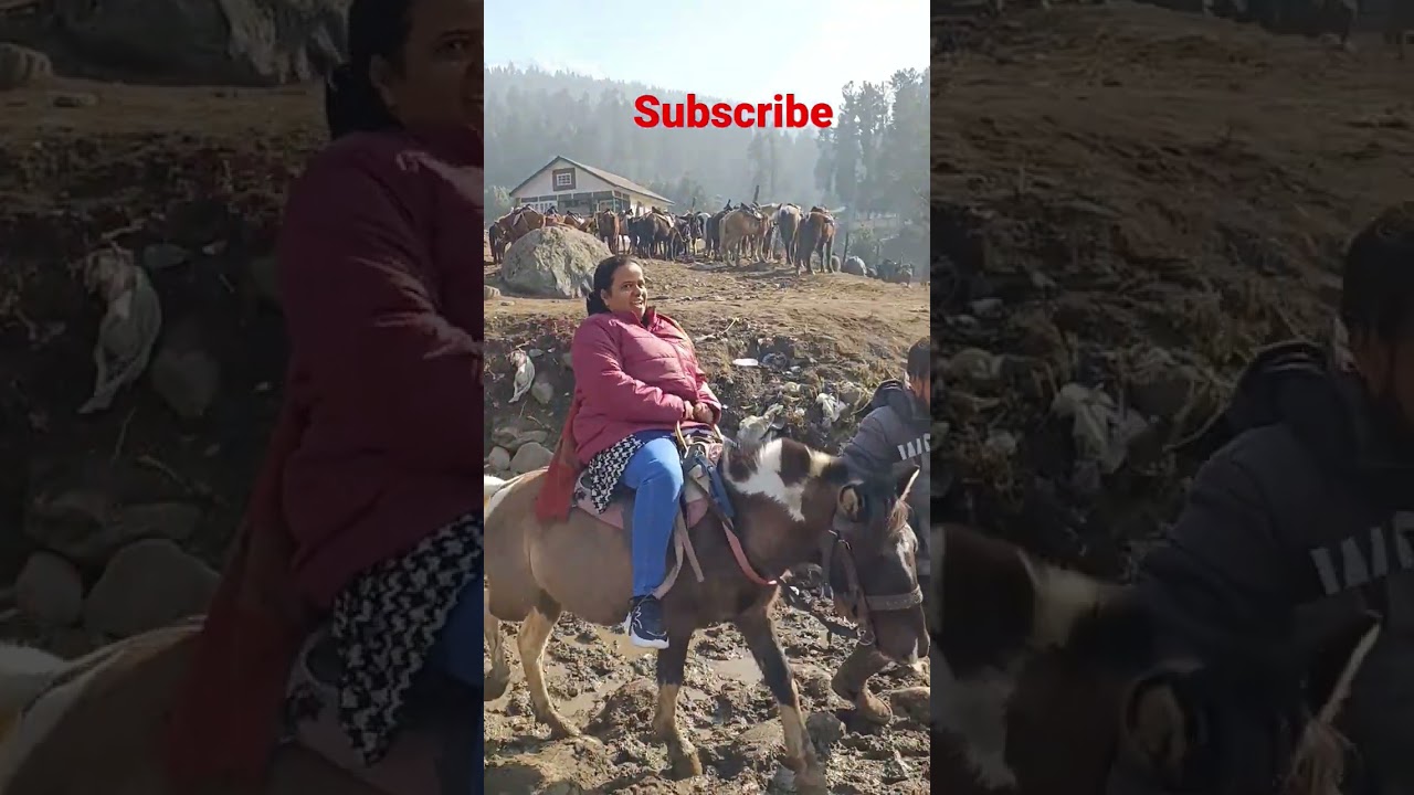Pony Ride in Pahalgam Kashmir