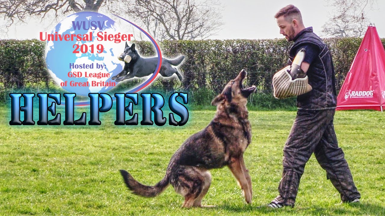 Helper Selection presentation WUSV Universal Sieger 2019