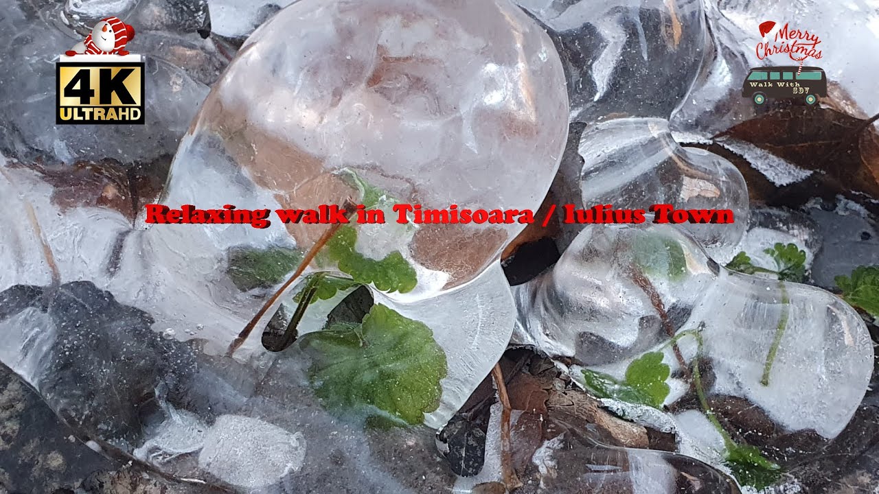4K Relaxing walk in Timisoara / Iulius Town / December 2022 #X
