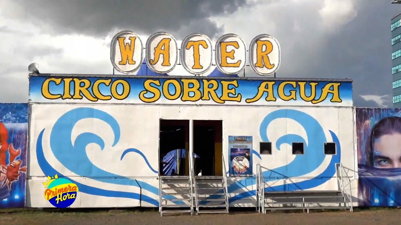 Circo 
