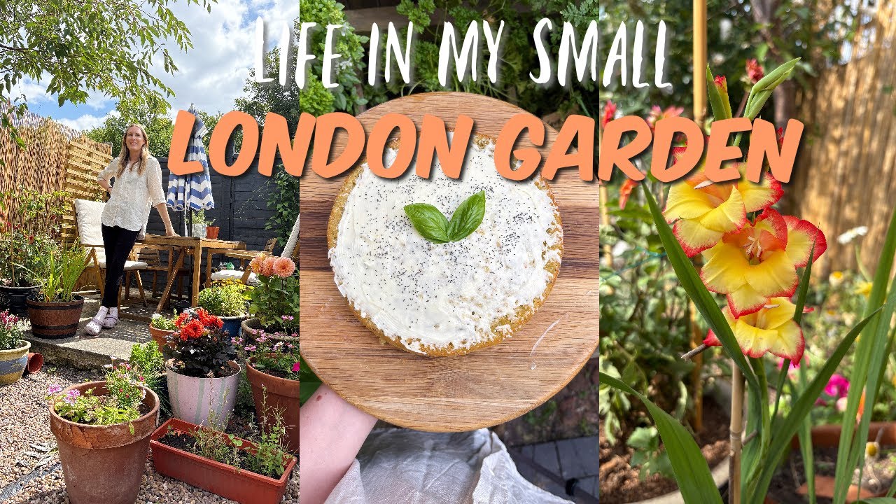 A WEEK IN MY SMALL LONDON GARDEN / LONDON LIFE DIARIES