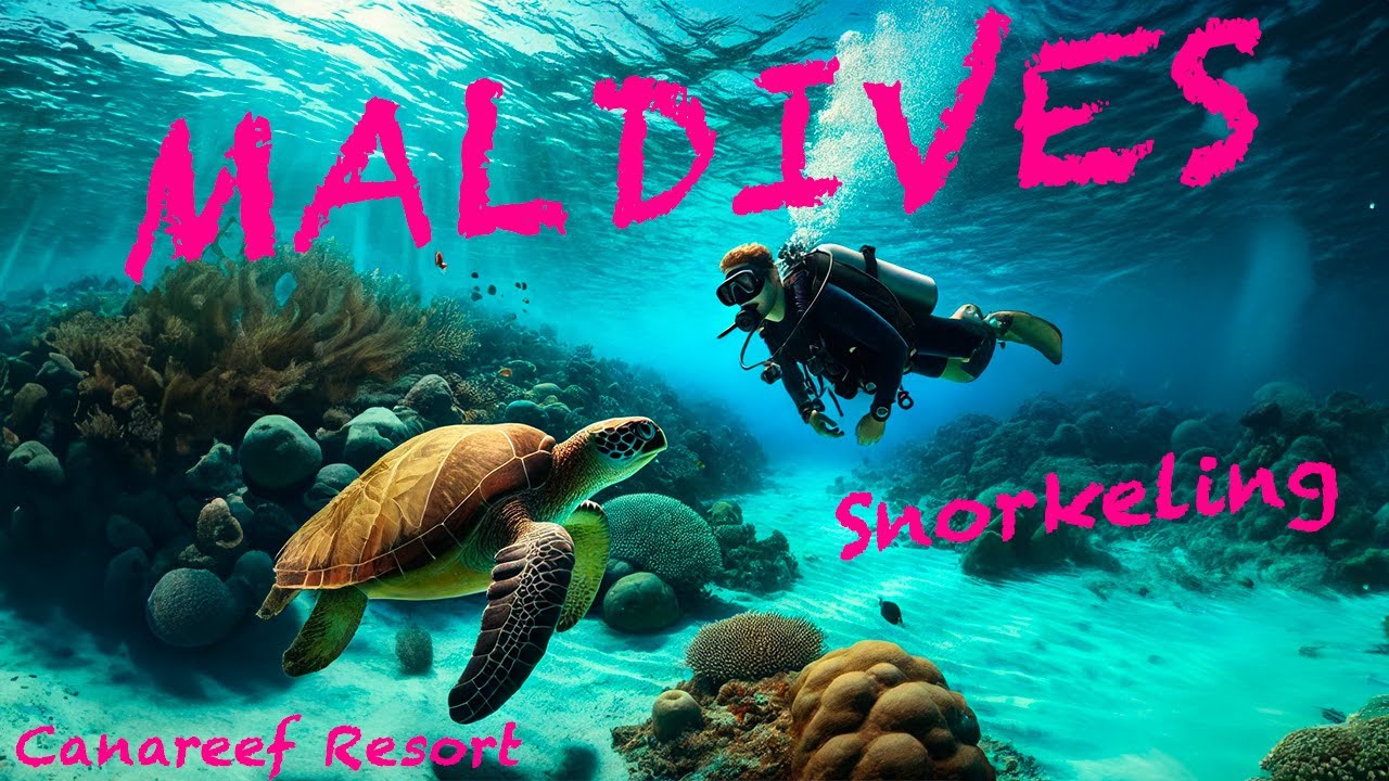 Snorkeling - Canareef Resort - Maldives 03/2024