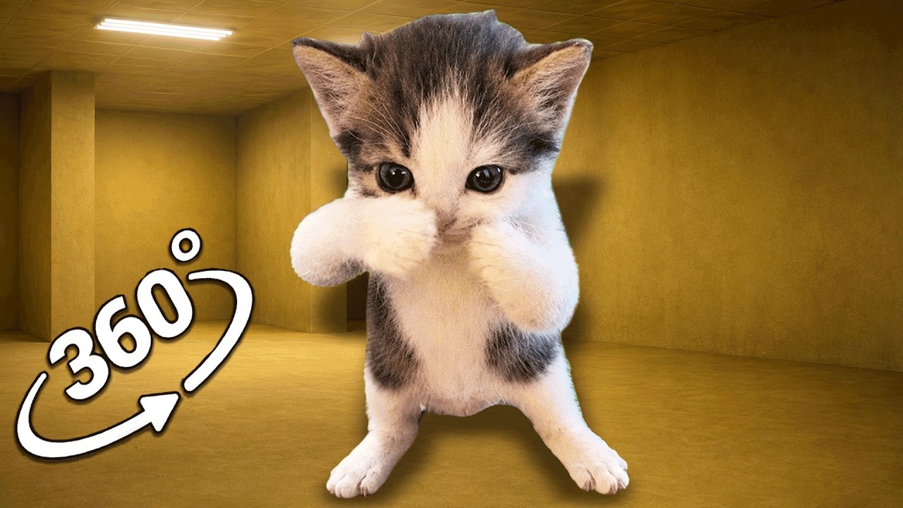 360&deg; Scuba Cat appear in the Backrooms ! VR 4K