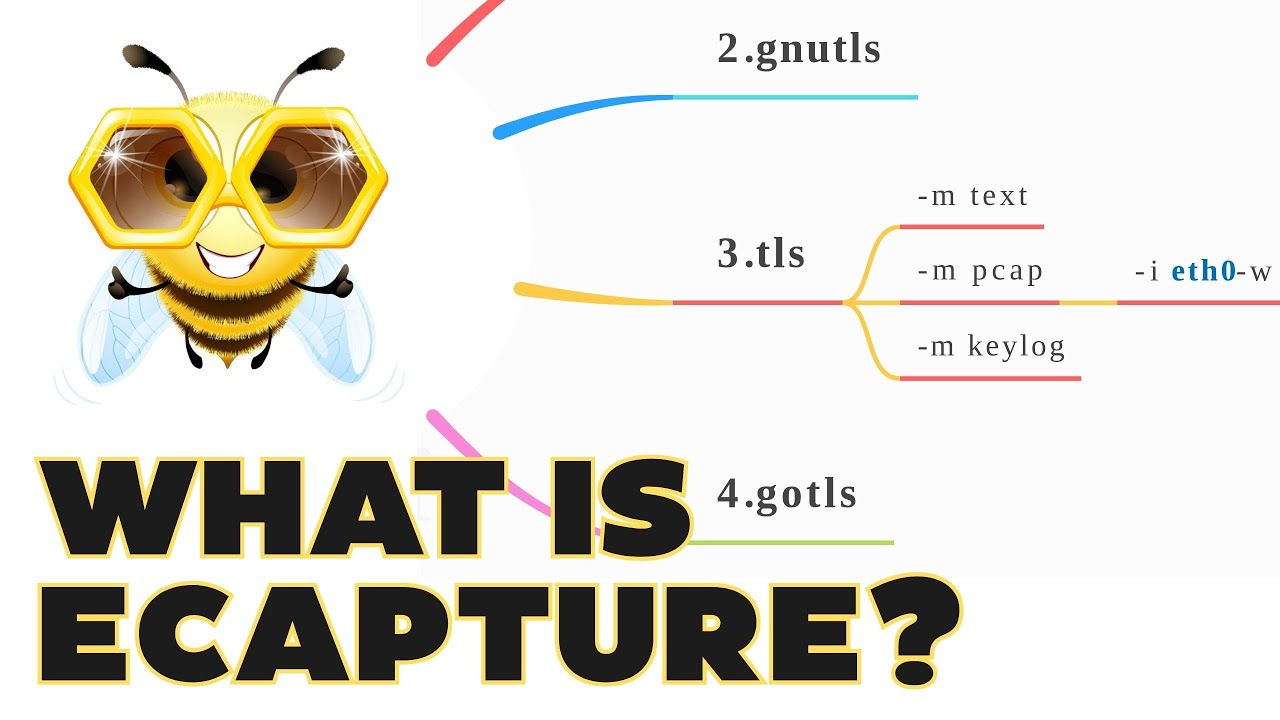 What is eCapture?