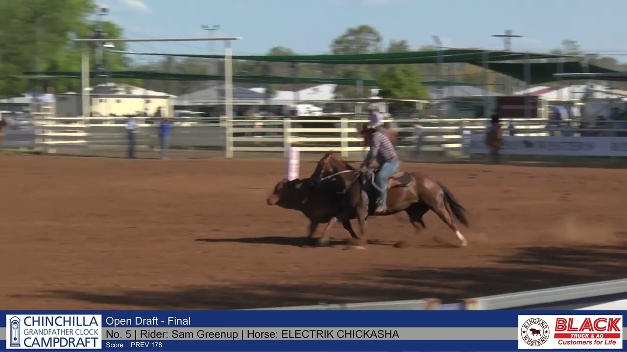 Open Draft - Final - 2023 Chinchilla Grandfather Clock Campdraft