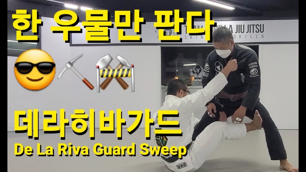 데라히바가드 스윕 De La Riva Guard Sweep (기술도움 : 장민)