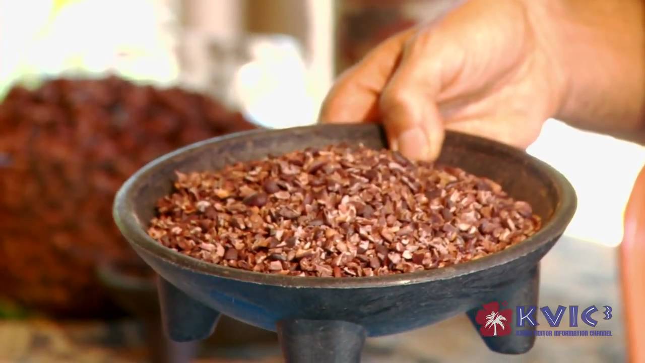 Garden Island Chocolate Spotlight - KVIC-TV3 [Made on Kauai]