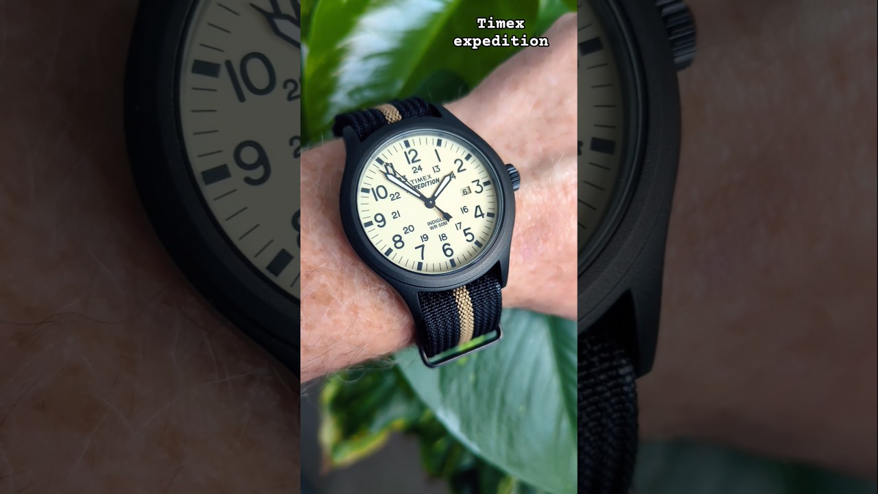 Timex expedition scout indiglo