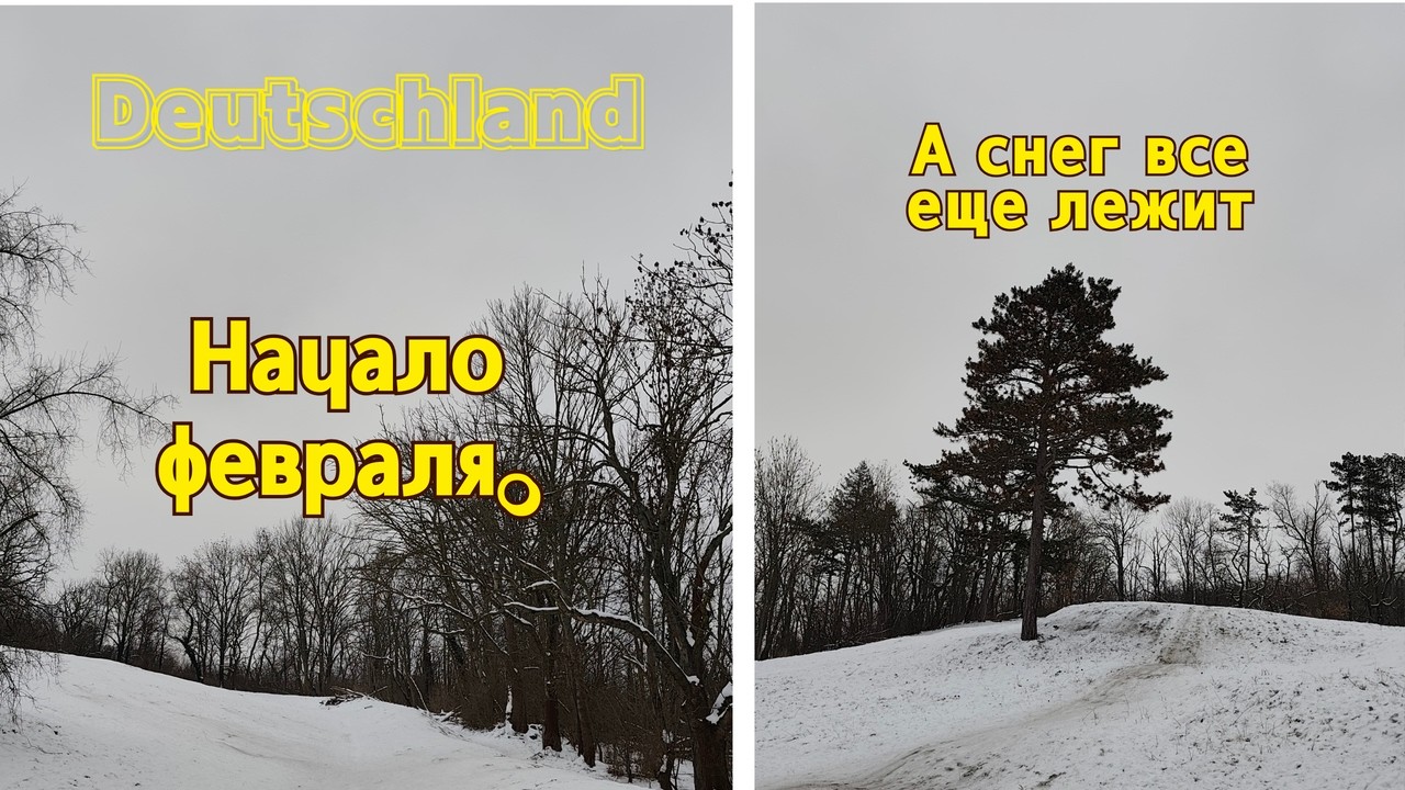 Зимний день немецком парке. Будни в Германии. Ловим короткую снежную зиму!