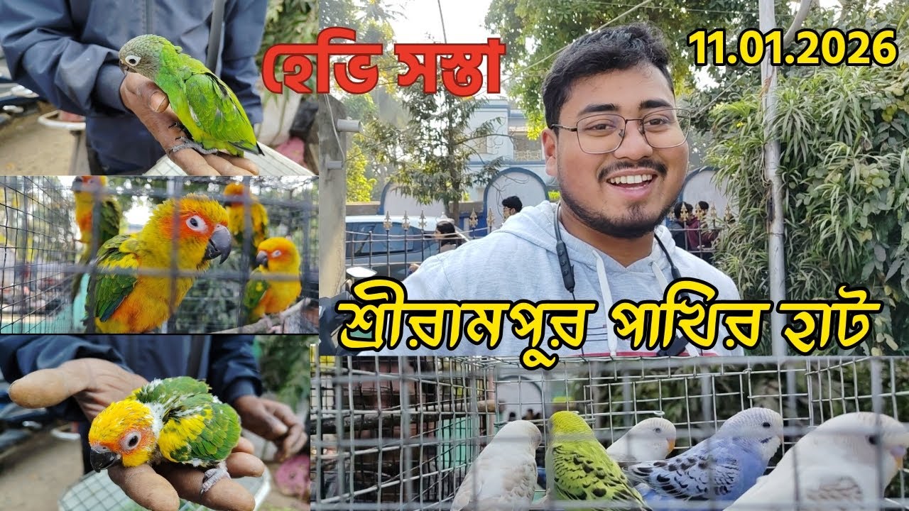 শ্রীরামপুর পেটস্ মার্কেট🙂Variety Exotic 🦜bird in low price