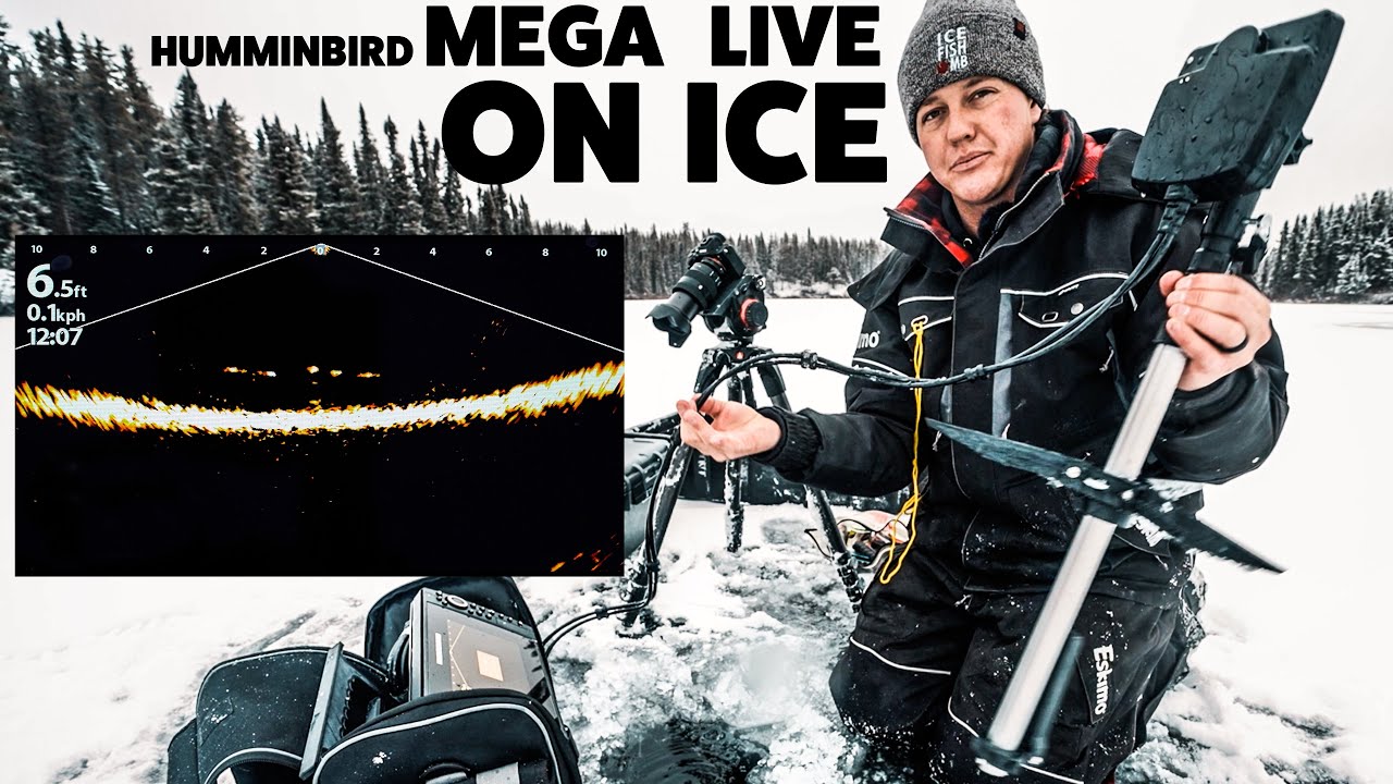 Подлёдная рыбалка с Humminbird Mega Live (первые впечатления)