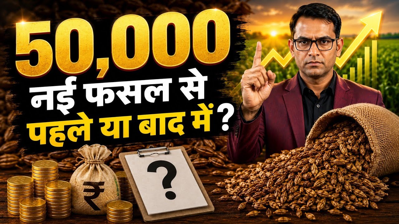 Jeera Bhav 2026: क्या 25,000 से सीधा 50,000 जाएगा? 🚀 (तेजी या ठहराव?