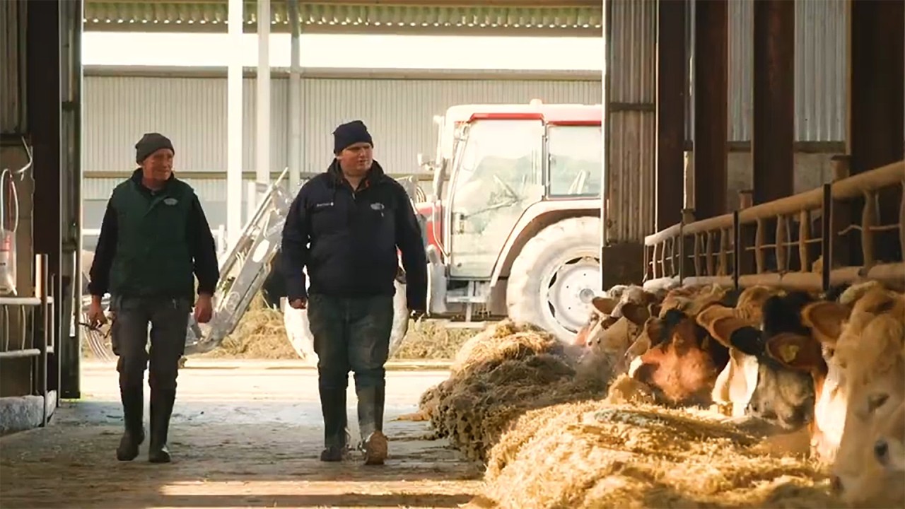 Eoin & Padraig Moran | #followthefarmer | Irish Beef