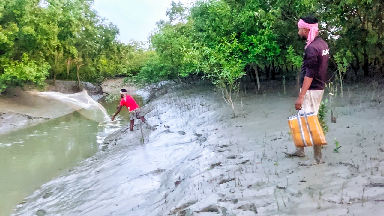 চার ভাই মিলে বিদ্যাধরী নদী পাড়ি দিয়ে চলে গেলাম সুন্দরবনের ছোট্ট একটা খাড়িতে মাছ ধরতে​⁠!!!