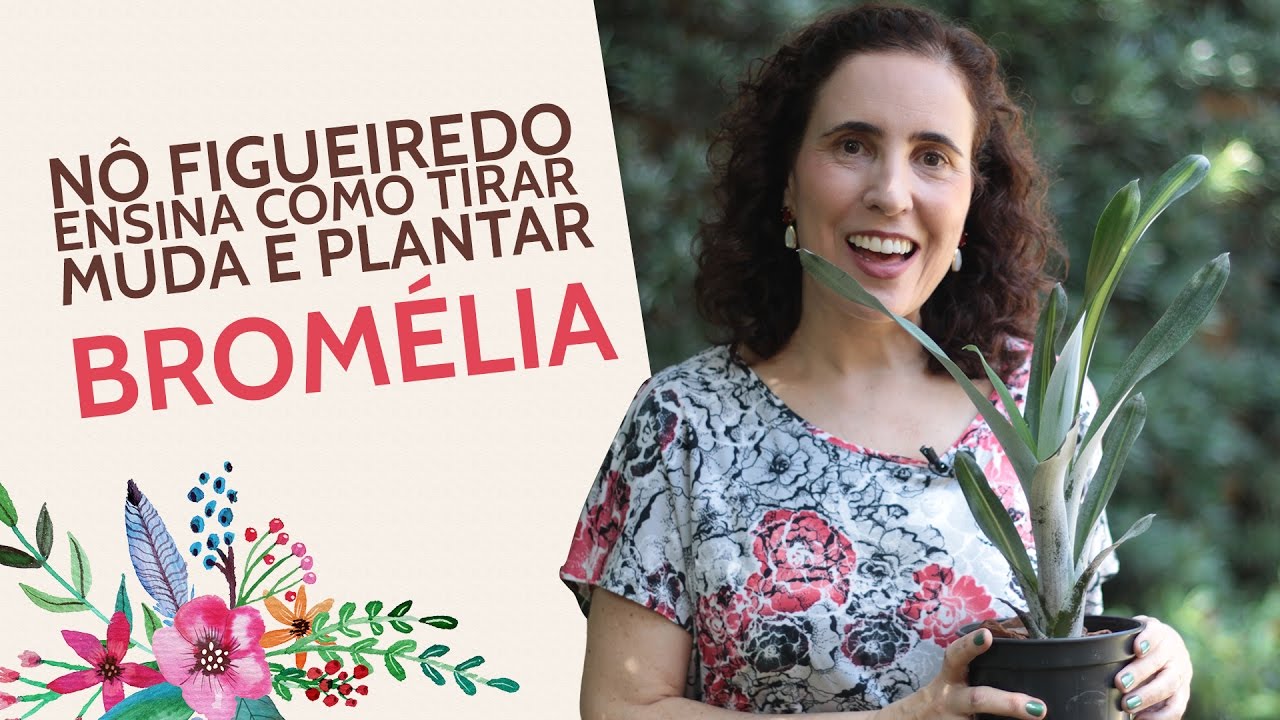 Nô Figueiredo Ensina Como Tirar Muda e Plantar Bromélia