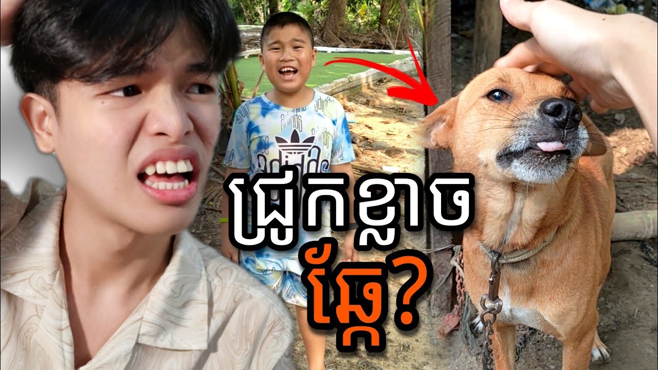 Vlog #2- ទៅដើរលេងនៅចំការ