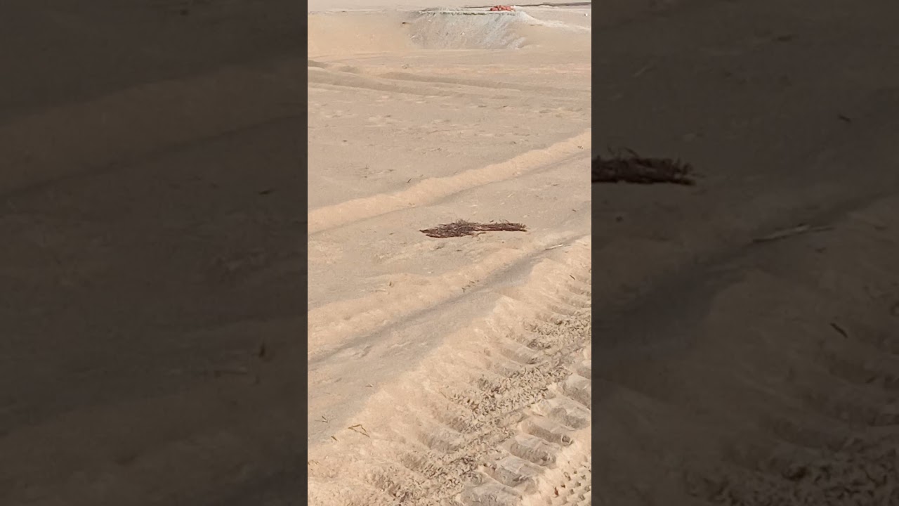 البيوفت و جماله ... أفضل أنواع الري على الاطلاق ... الفرافرة سهل بركة