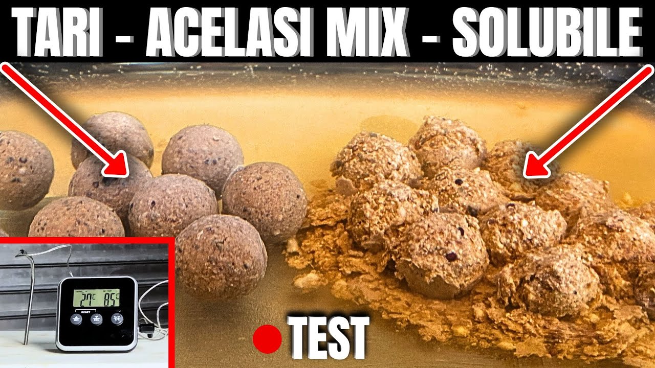 Boilies TARE sau SOLUBILE? Aceeași rețetă, un TRUC schimbă TOT!