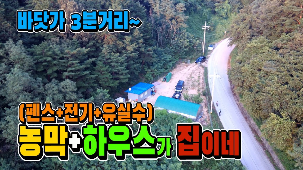 사동항 바닷가 3분｜농막+하우스 있는 울진 소형토지 4천만원 [매물 1355]