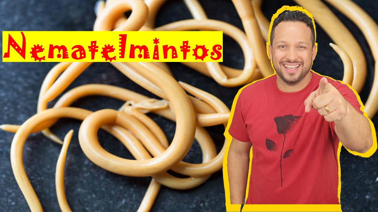Nematelmintos - Filo Nematoda - Caracter&iacute;sticas Gerais - Invertebrados - Zoologia