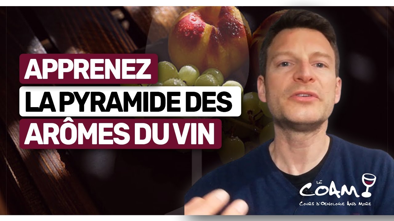 Maîtrisez la PYRAMIDE des ARÔMES DU VIN pour une Dégustation Réussie