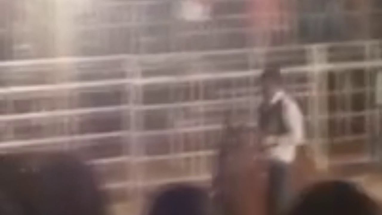 Edson Figueiredo Cutinao  CIA JR