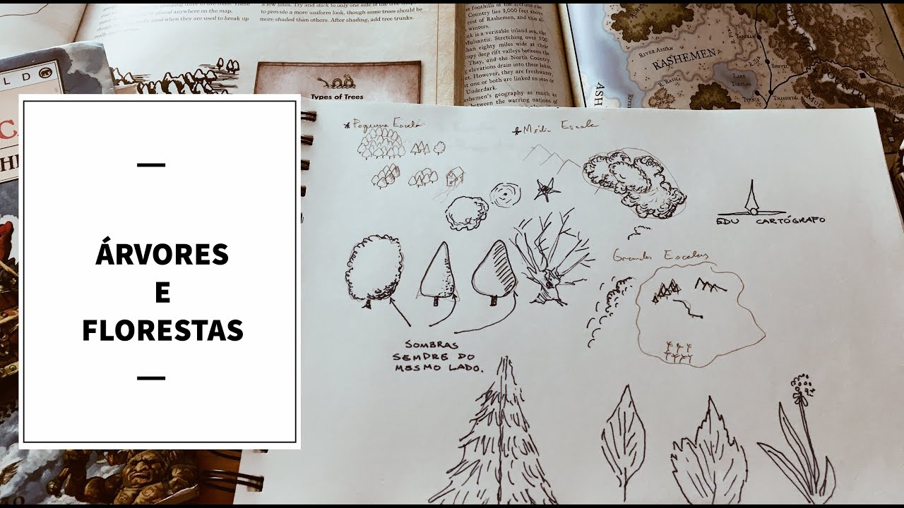 Desenhando Mapas no 2º nível- Árvores e Florestas