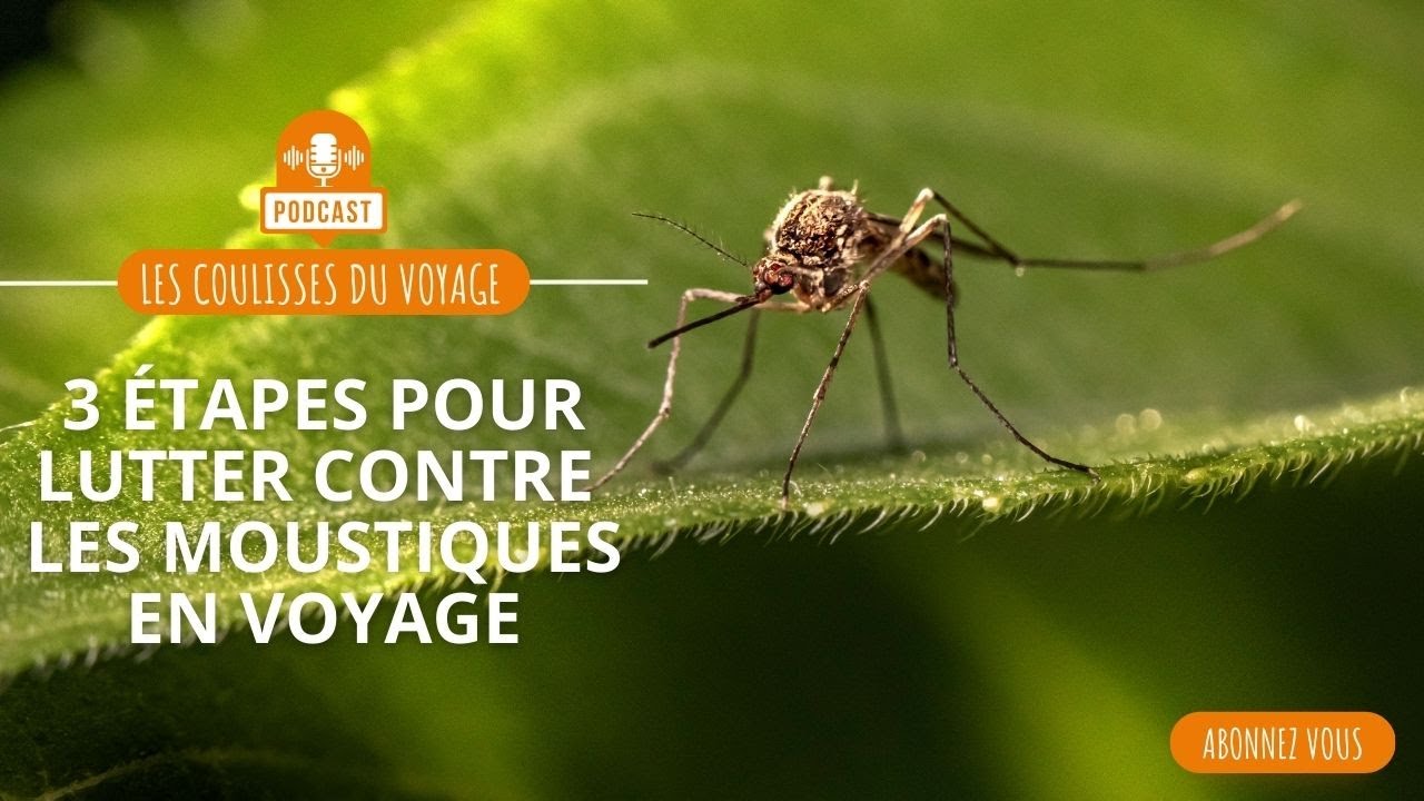 3 étapes clés pour lutter contre les moustiques en voyage !