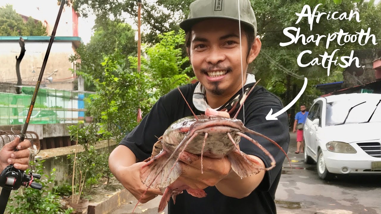 Urban Fishing Philippines | Manila Estero | Nahuli ko din ang pinaka malaki sa Kanal nato | Ep31