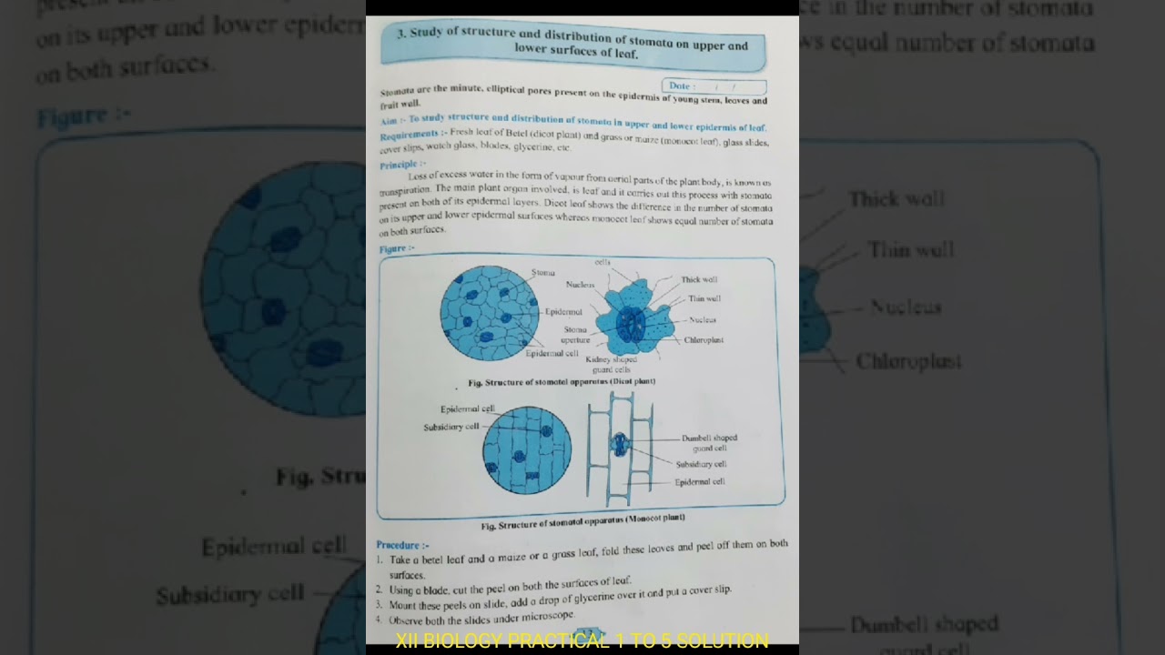 XII BIOLOGY PRACTICAL 1 - 5 SOLUTION