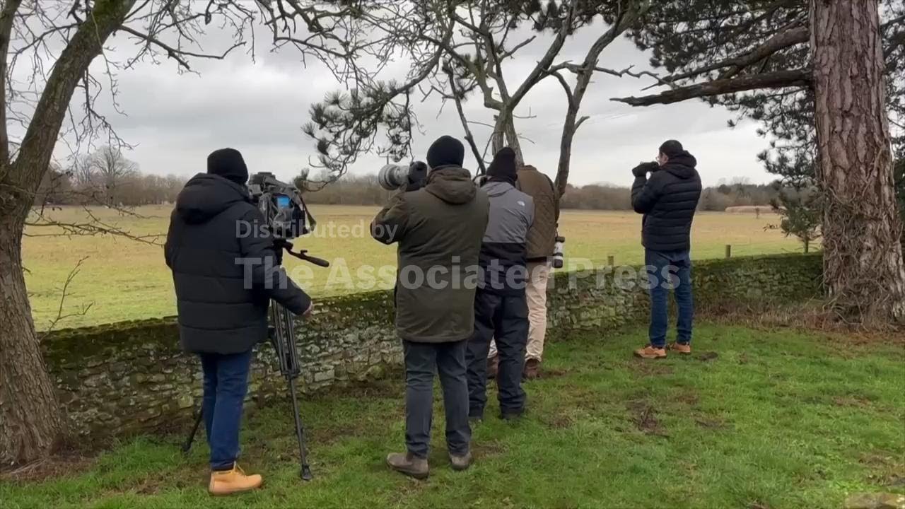 Media gather outside UK royal family's Sandringham Estate after Andrew's arrest