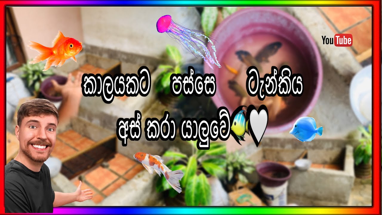 අන්තිමට තමා ලස්සනම tank ek තියෙන්නෙ🥹🐠❤️‍🔥”#pigeon #aquarium #fishtank #vilogpigeon #kabootarloft05 