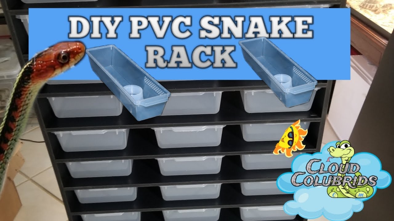 Building our first DIY pvc snake rack for vision tubs.
