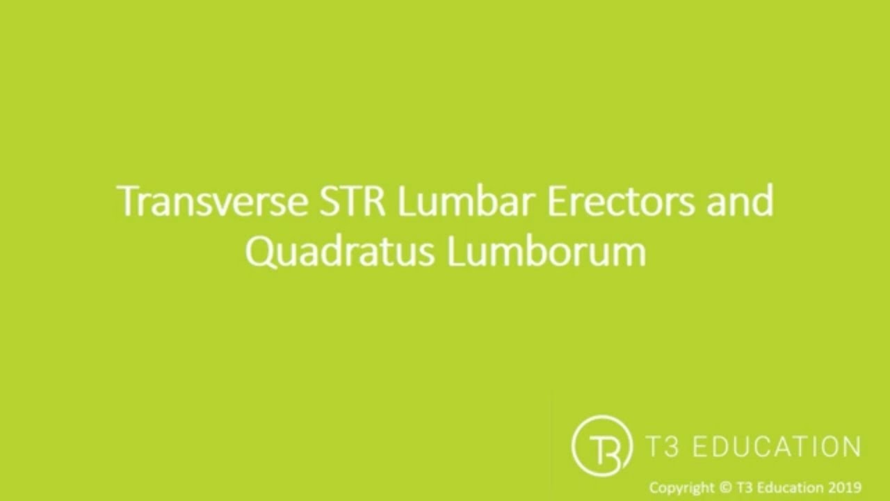 Soft Tissue Release: STR Lumbar Erectors and Quadratus Lumborum