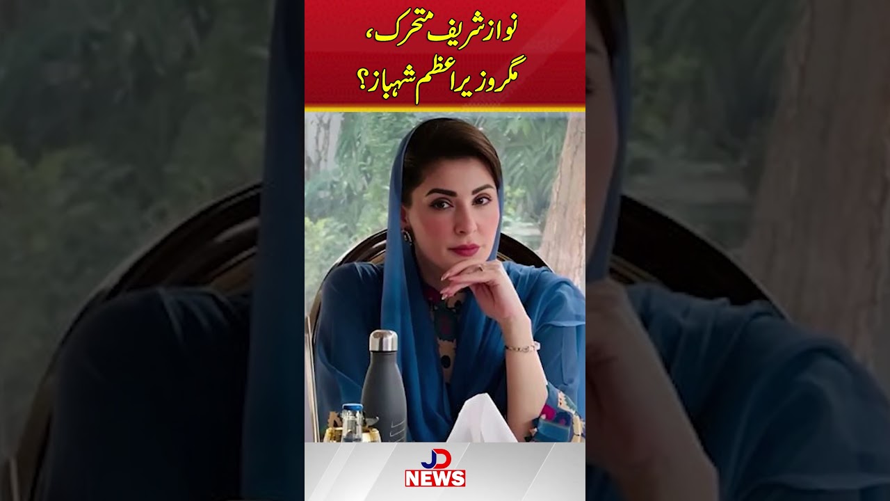 🚨Shehbaz vs Nawaz: Who Will Actually Be The Prime Minister ?