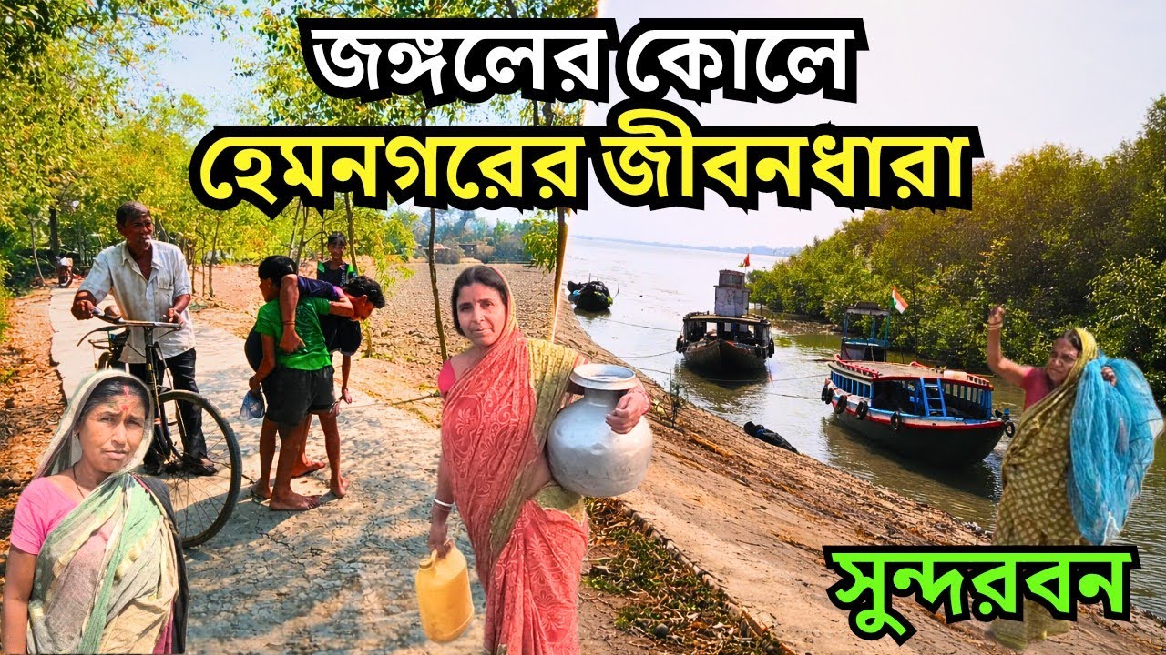 বাঘের জঙ্গলের পাশে হেমনগরের সংগ্রাম । সুন্দরবন । Hemnagar village lifestyle, Tiger।  Sundarbans ।