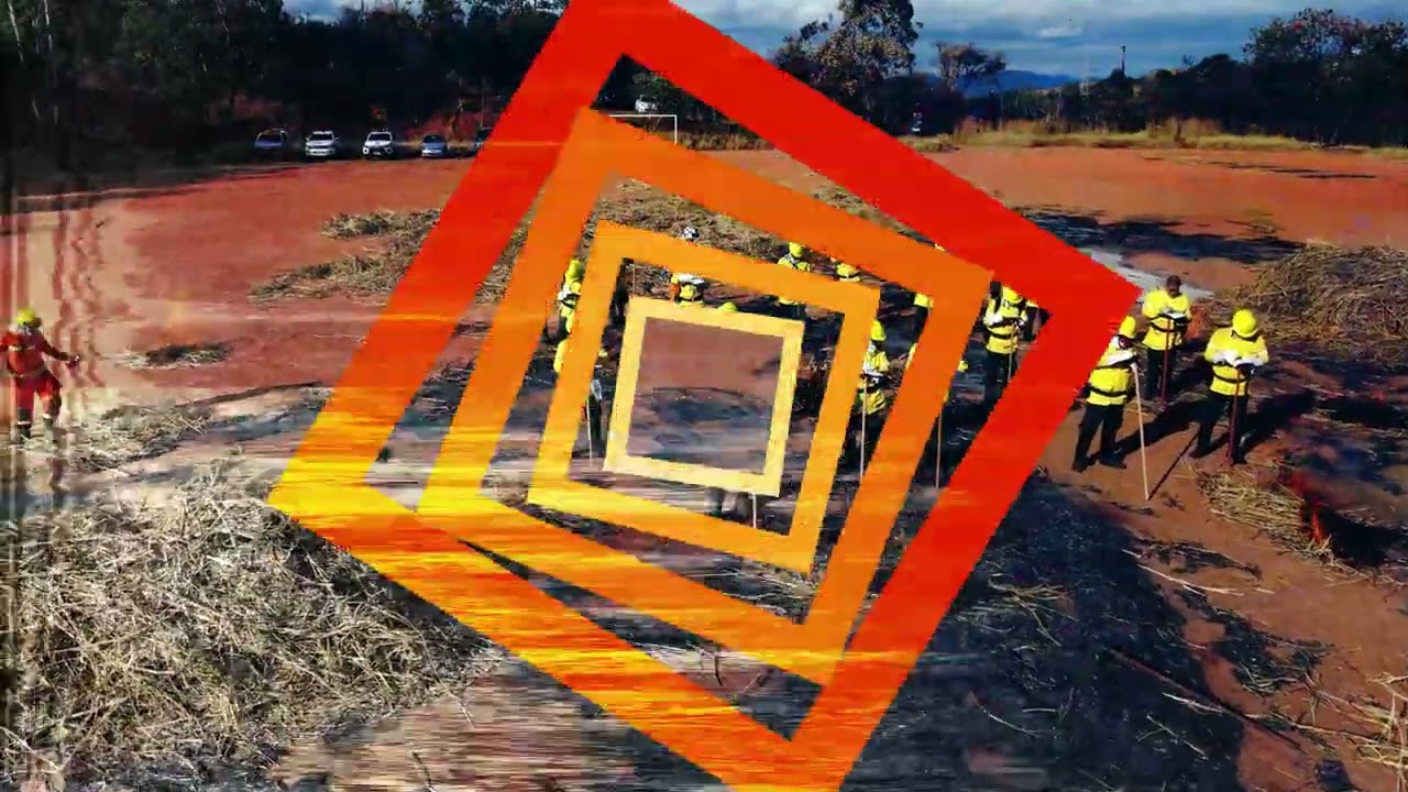 INSTRUÇÃO DE BRIGADISTA FLORESTAL - CORPO DE BOMBEIROS MINAS GERAIS